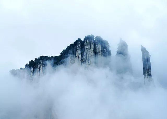 机器人罗博
